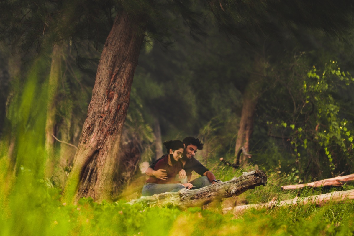 Couple seated among pines and fallen logs in soft morning light — Sous les Pins
